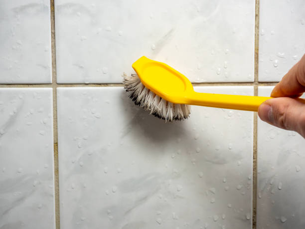 Best Mold Cleaning Services  in Squirrel Mountain Valley, CA