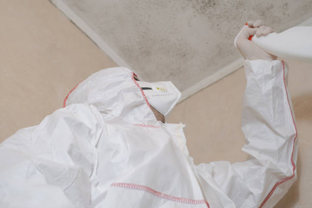 Crawl Space Mold Removal in Squirrel Mountain Valley, CA