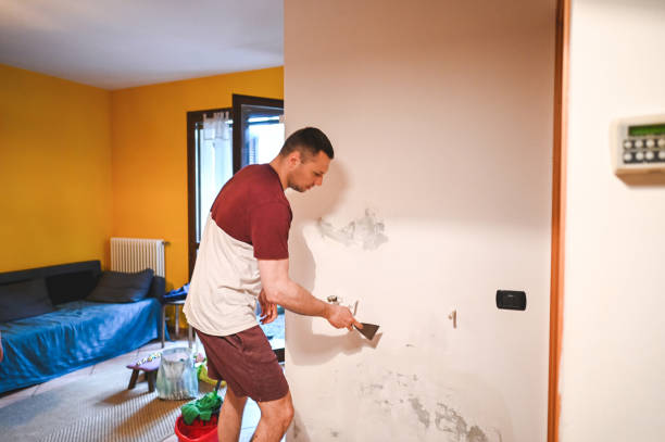 Mold Testing and Removal in Squirrel Mountain Valley, CA