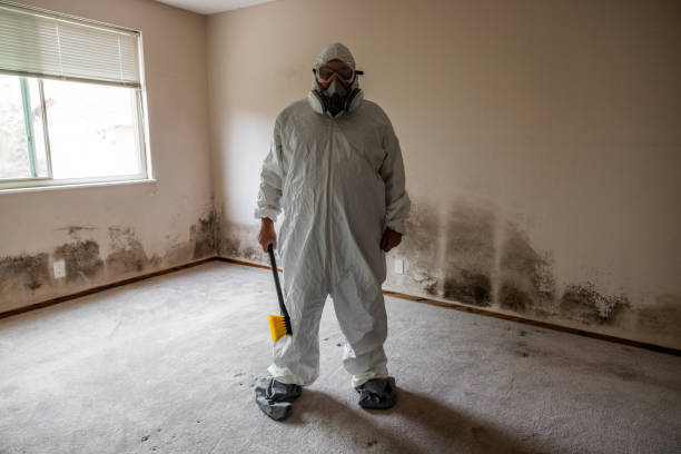 Best Mold Remediation  in Squirrel Mountain Valley, CA